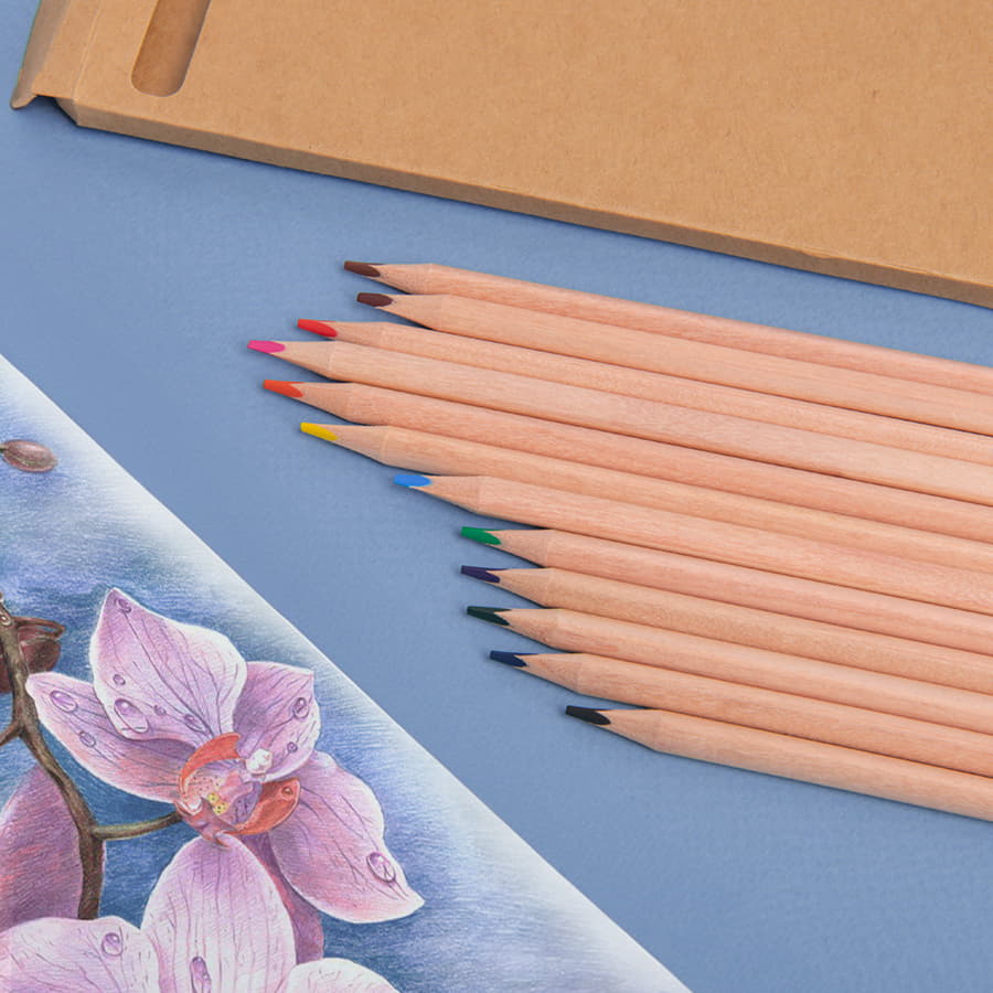 Цветные карандаши KINDERLINE middle,12 цветов, дерево, картон